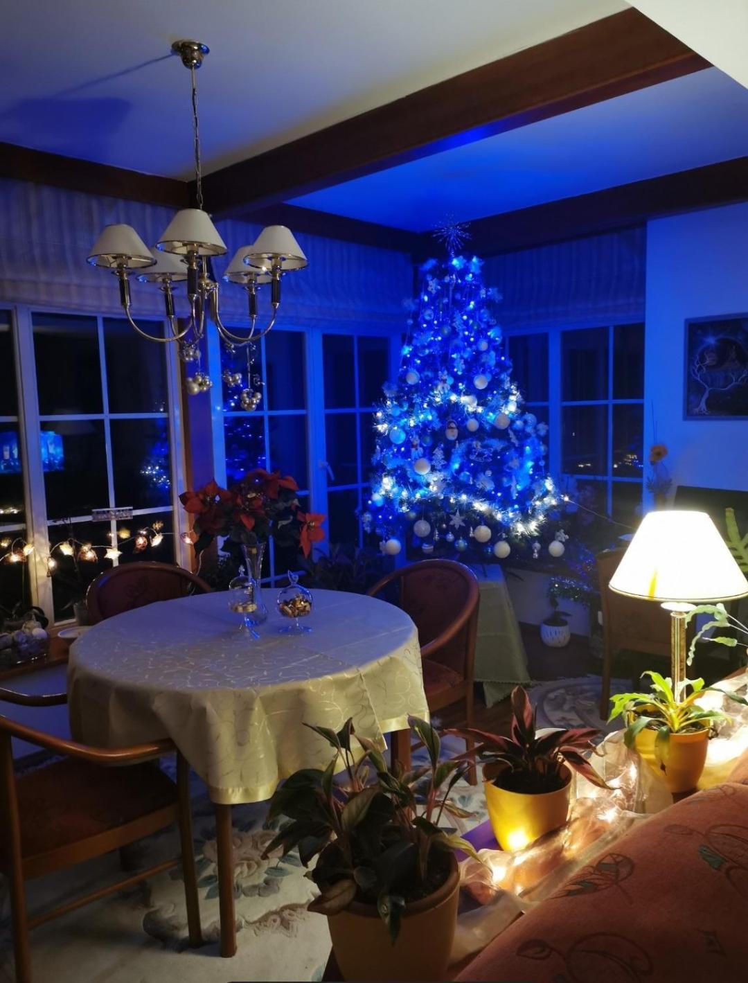 Homestay Svata * Svata