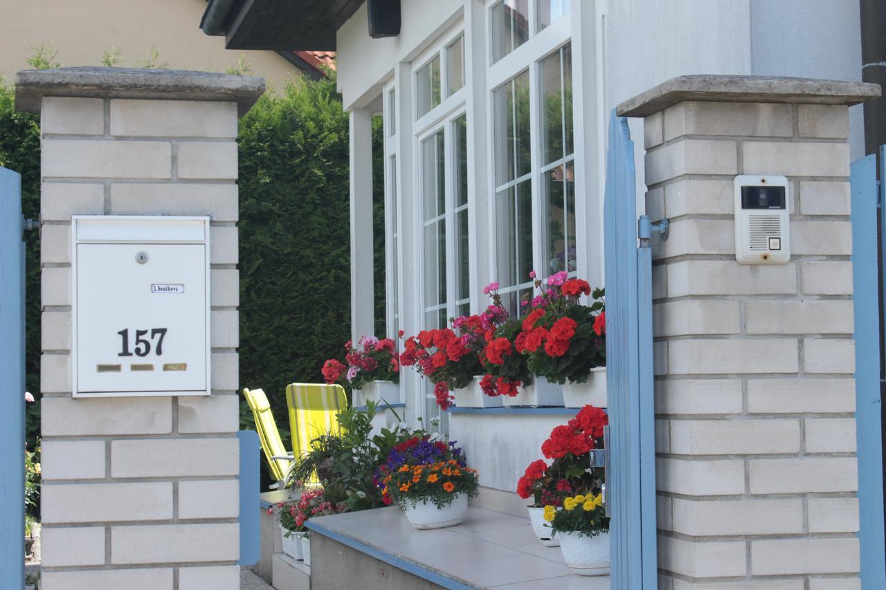 Homestay Svata